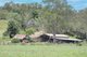 Photo - 10685 Mount Lindesay Hwy , Palen Creek QLD 4287 - Image 19