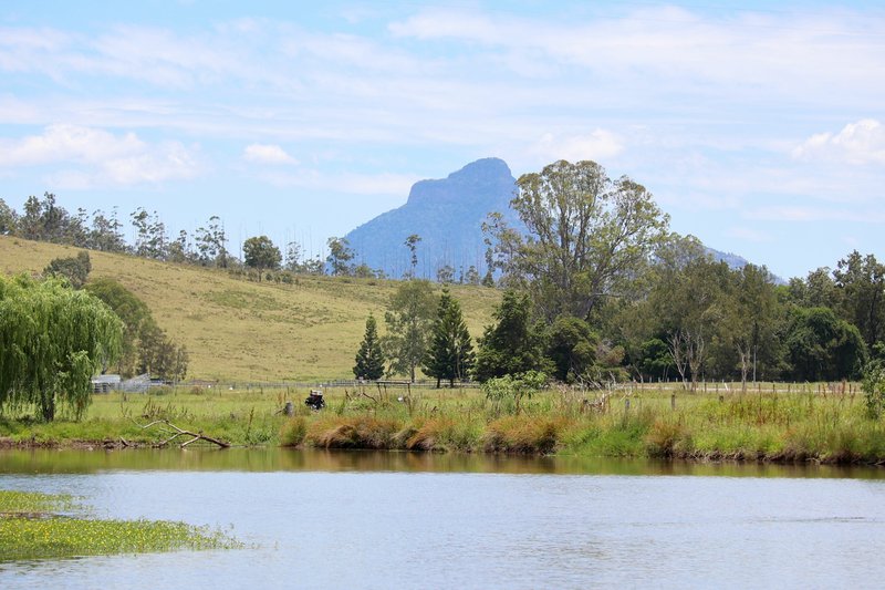 Photo - 10685 Mount Lindesay Hwy , Palen Creek QLD 4287 - Image 21