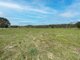 Photo - 10685 Mount Lindesay Hwy , Palen Creek QLD 4287 - Image 28