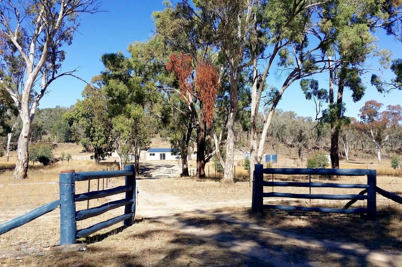 1069 Wallangra Road, Ashford NSW 2361