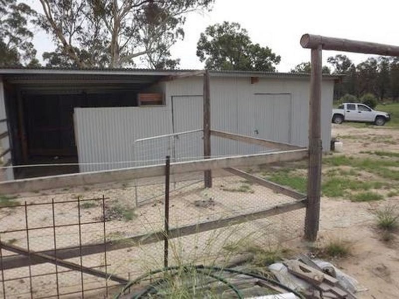 Photo - 1069 Wallangra Road, Ashford NSW 2361 - Image 7