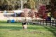 Photo - 106B Cosgrove Road, Macclesfield SA 5153 - Image 24