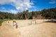 Photo - 106B Cosgrove Road, Macclesfield SA 5153 - Image 28