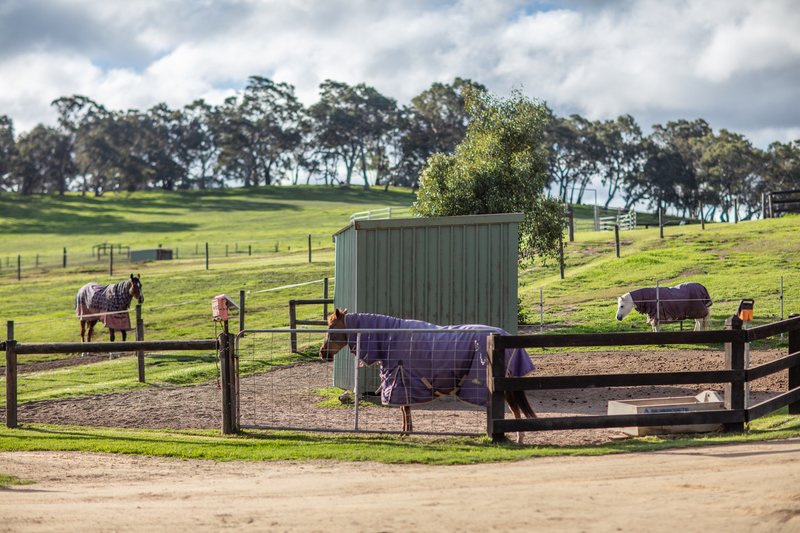Photo - 106B Cosgrove Road, Macclesfield SA 5153 - Image 30
