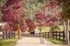 Photo - 106B Cosgrove Road, Macclesfield SA 5153 - Image 34