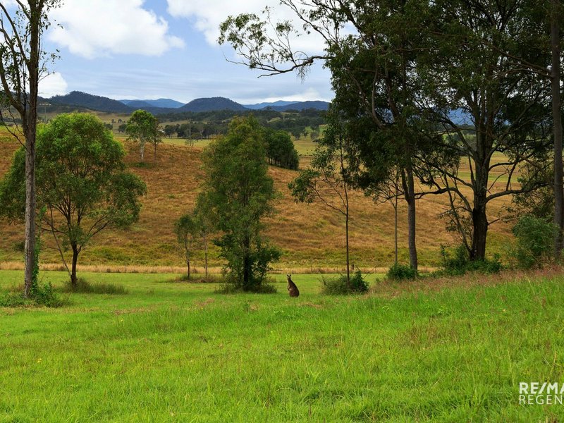 Photo - 107 Christmas Creek Road, Laravale QLD 4285 - Image 23