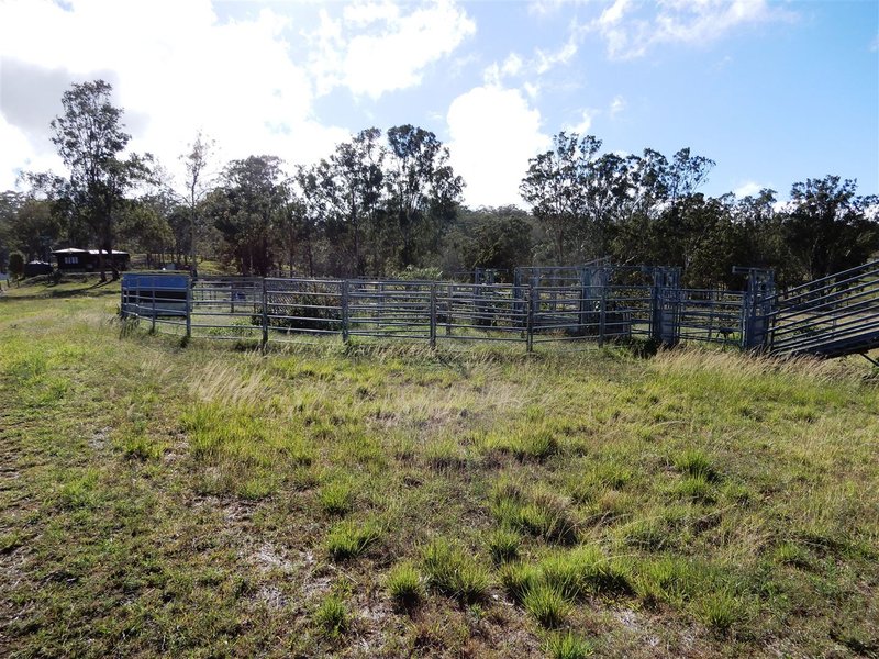 Photo - 107 Freegards Road, Crediton QLD 4757 - Image 2