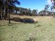 Photo - 107 Freegards Road, Crediton QLD 4757 - Image 14