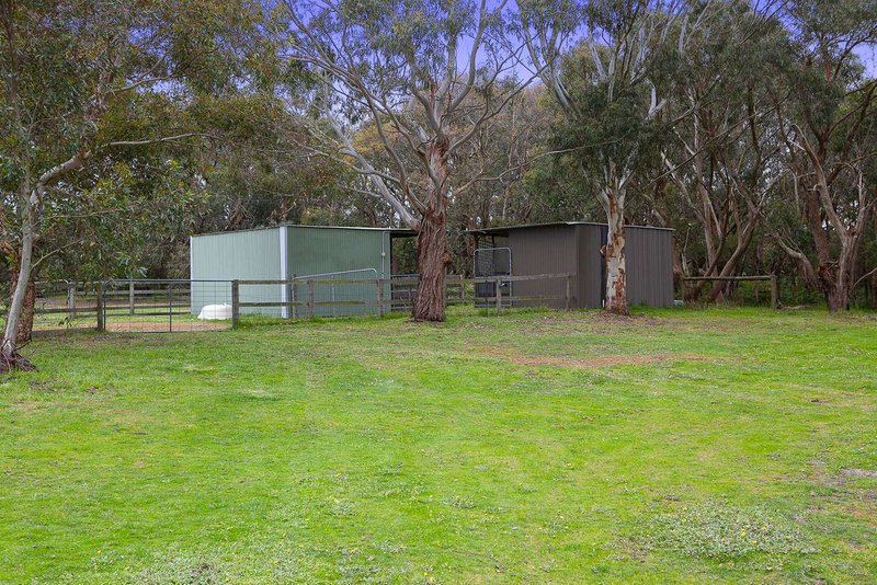 Photo - 107 Highfield Drive, Langwarrin South VIC 3911 - Image 13