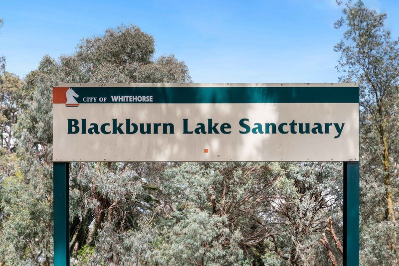 Photo - 107 Lake Road, Blackburn VIC 3130 - Image 22