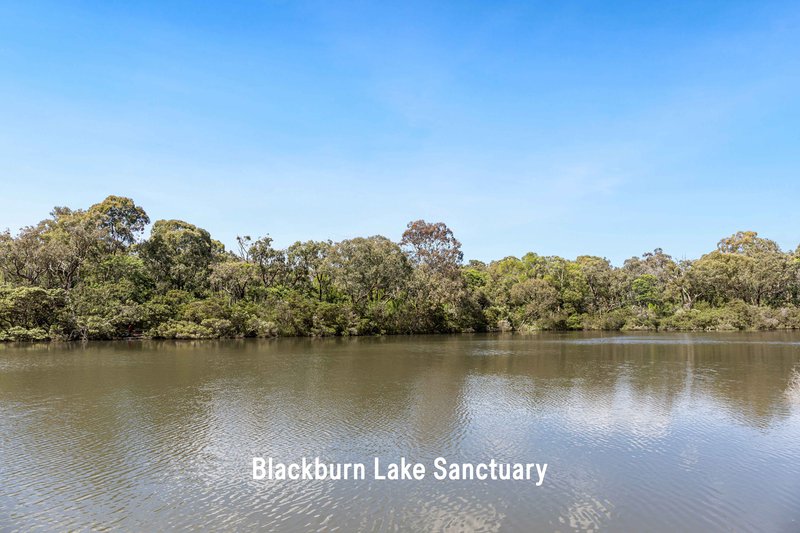 Photo - 107 Lake Road, Blackburn VIC 3130 - Image 23