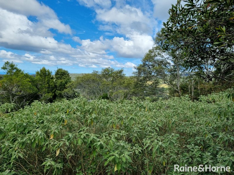 Photo - 107 Lyrebird Ridge Road, Springbrook QLD 4213 - Image 4