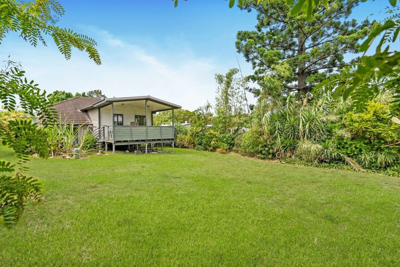 Photo - 107 Molloy Road, Cannon Hill QLD 4170 - Image 6