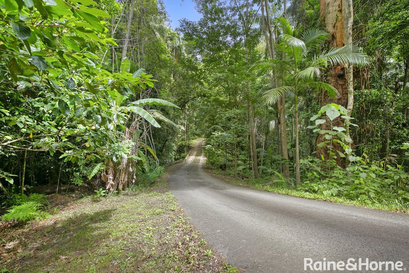 Photo - 107 Old Ceylon Road, Ridgewood QLD 4563 - Image 17