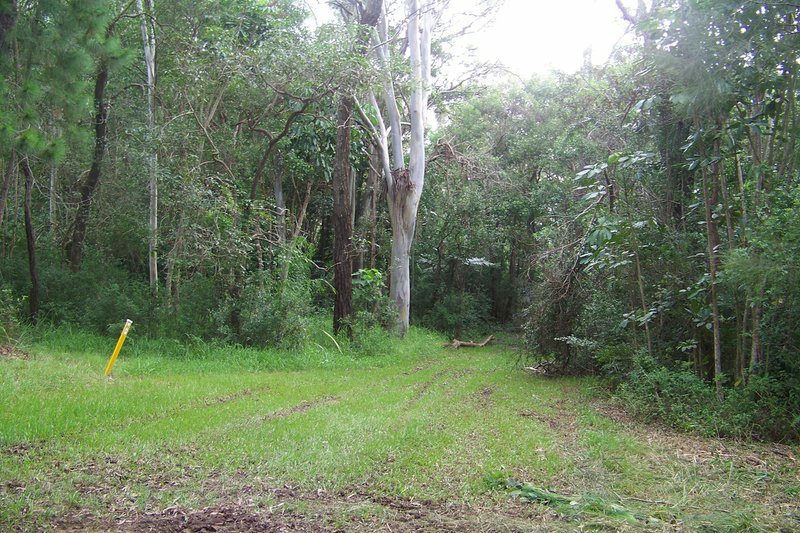 Photo - 107 Perulpa Drive, Lamb Island QLD 4184 - Image 10