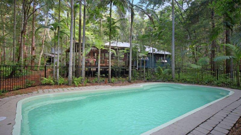 Photo - 107 Slaughter Yard Rd , Eudlo QLD 4554 - Image 7