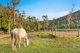 Photo - 107 Welches Road, Wongawallan QLD 4210 - Image 30