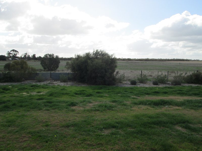 Photo - 107 Yappara Road, Lameroo SA 5302 - Image 21