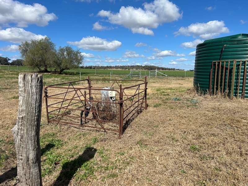 Photo - 1071 Oakey Pittsworth Road, Aubigny QLD 4401 - Image 13