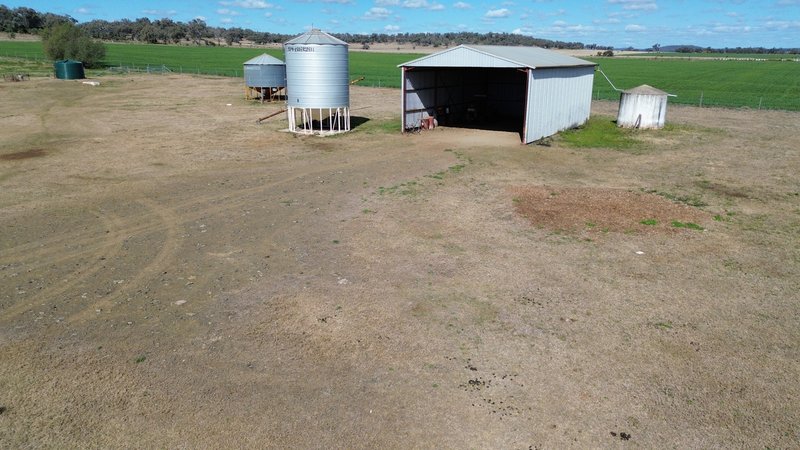 Photo - 1071 Oakey Pittsworth Road, Aubigny QLD 4401 - Image 15