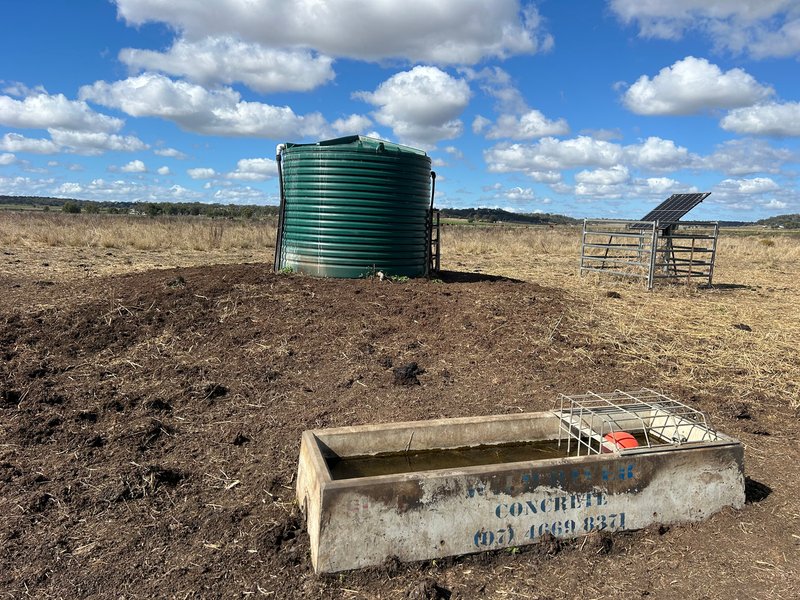 Photo - 1071 Oakey Pittsworth Road, Aubigny QLD 4401 - Image 17