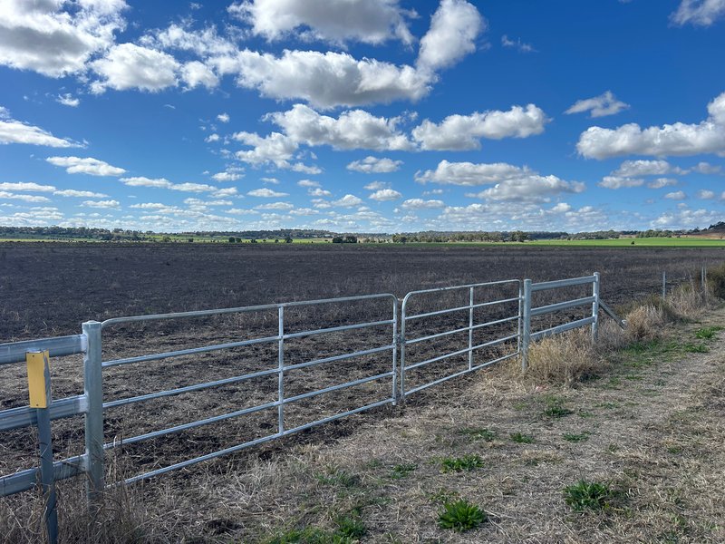 Photo - 1071 Oakey Pittsworth Road, Aubigny QLD 4401 - Image 18