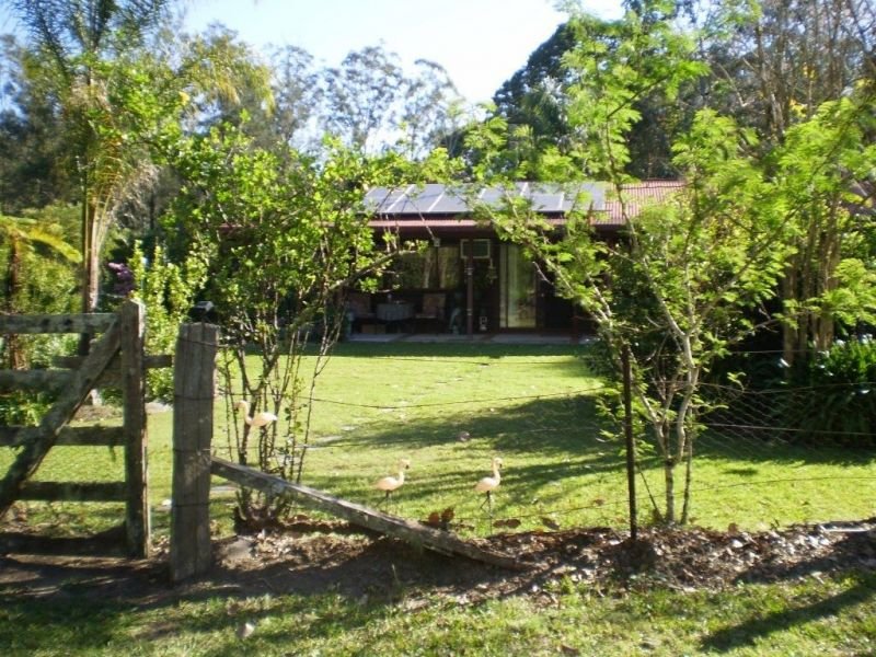 Photo - 1071 South Arm Road, South Arm NSW 2449 - Image 1