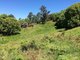 Photo - 1073 Pomona Kin Kin Road, Kin Kin QLD 4571 - Image 4