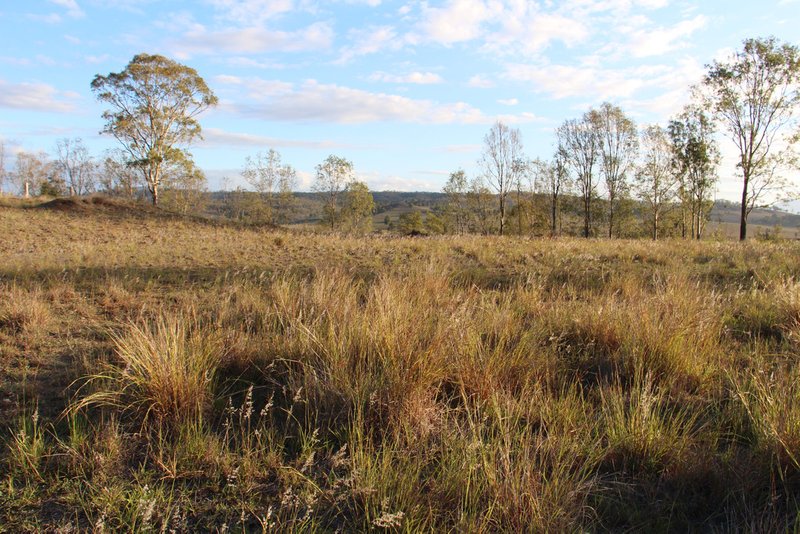 Photo - 1079 Christmas Creek Rd , Christmas Creek QLD 4285 - Image 7