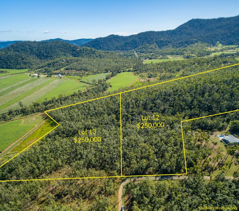 Photo - 107A & 107B Richardson Road, Sugarloaf QLD 4800 - Image 3