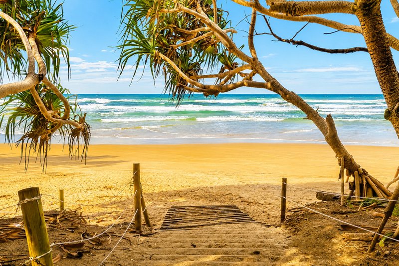 Photo - 108 Alcorn Street, Byron Bay NSW 2481 - Image 3