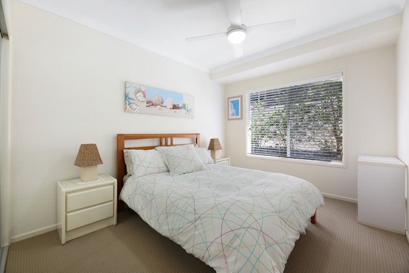 Photo - 108 Piggabeen Road, Currumbin Valley QLD 4223 - Image 15