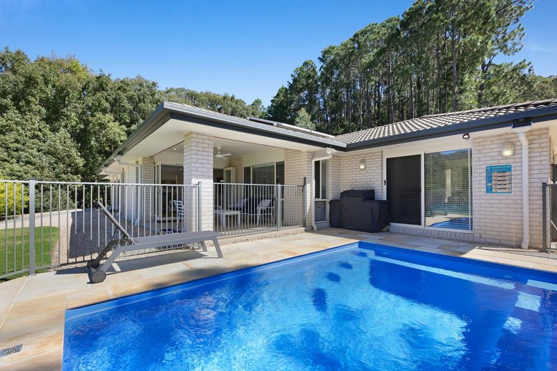 Photo - 108 Piggabeen Road, Currumbin Valley QLD 4223 - Image 21