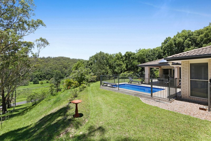 Photo - 108 Piggabeen Road, Currumbin Valley QLD 4223 - Image 28