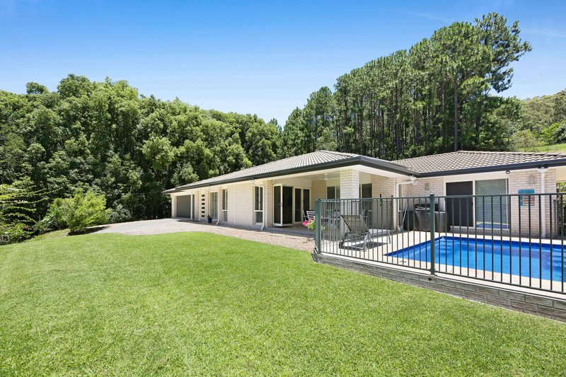 Photo - 108 Piggabeen Road, Currumbin Valley QLD 4223 - Image 31