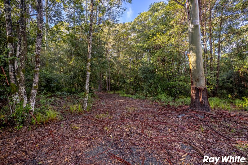 Photo - 108 Tarbuck Park Road, Tarbuck Bay NSW 2428 - Image 8