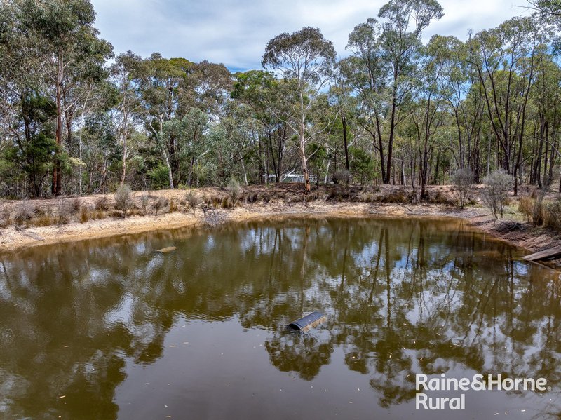 Photo - 1081 Sandy Point Road, Lower Boro NSW 2580 - Image 9