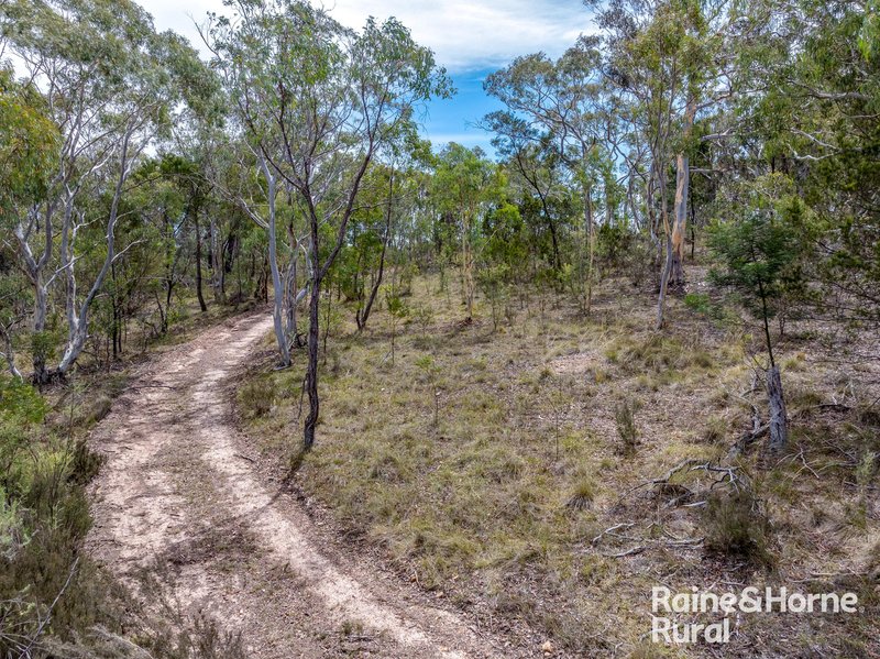 Photo - 1081 Sandy Point Road, Lower Boro NSW 2580 - Image 10