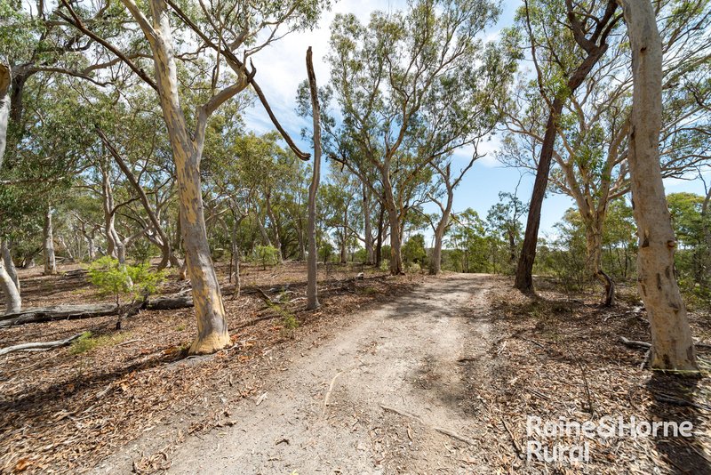 Photo - 1081 Sandy Point Road, Lower Boro NSW 2580 - Image 15