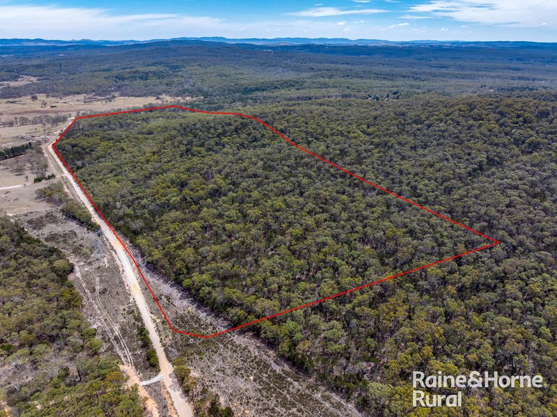 Photo - 1081 Sandy Point Road, Lower Boro NSW 2580 - Image 18