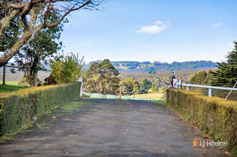 Photo - 1082 Murchison Highway, Elliott TAS 7325 - Image 17