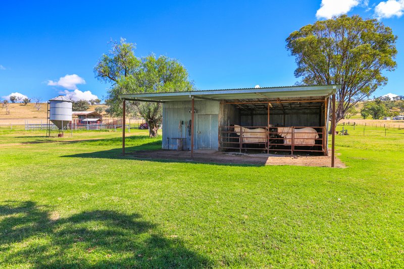 Photo - 1083 Trevallyn Road, Barraba NSW 2347 - Image 21