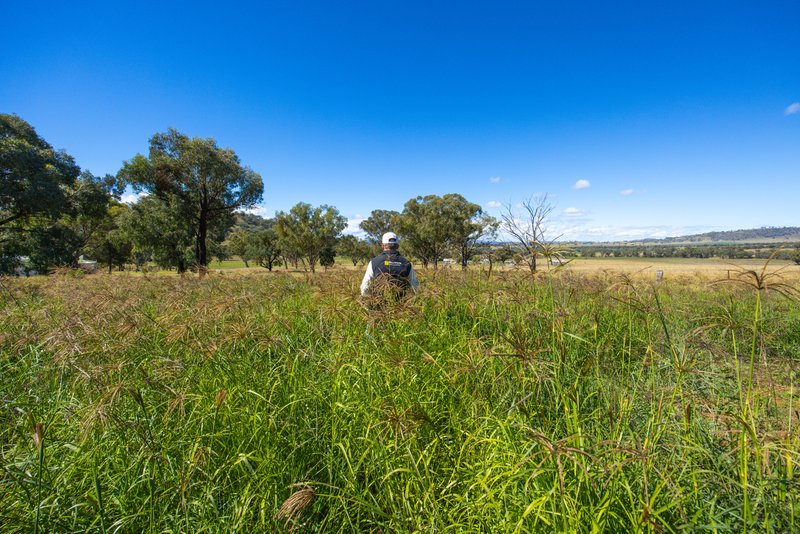 Photo - 1083 Trevallyn Road, Barraba NSW 2347 - Image 25