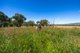 Photo - 1083 Trevallyn Road, Barraba NSW 2347 - Image 25