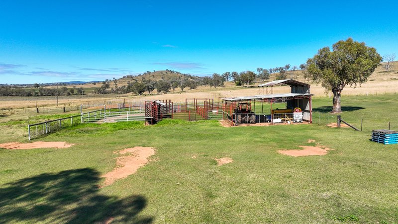 Photo - 1083 Trevallyn Road, Barraba NSW 2347 - Image 27