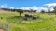 Photo - 1083 Trevallyn Road, Barraba NSW 2347 - Image 29