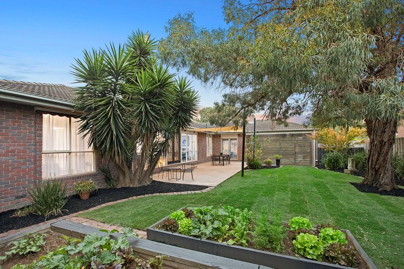 Photo - 109 Benkel Avenue, Cheltenham VIC 3192 - Image 6