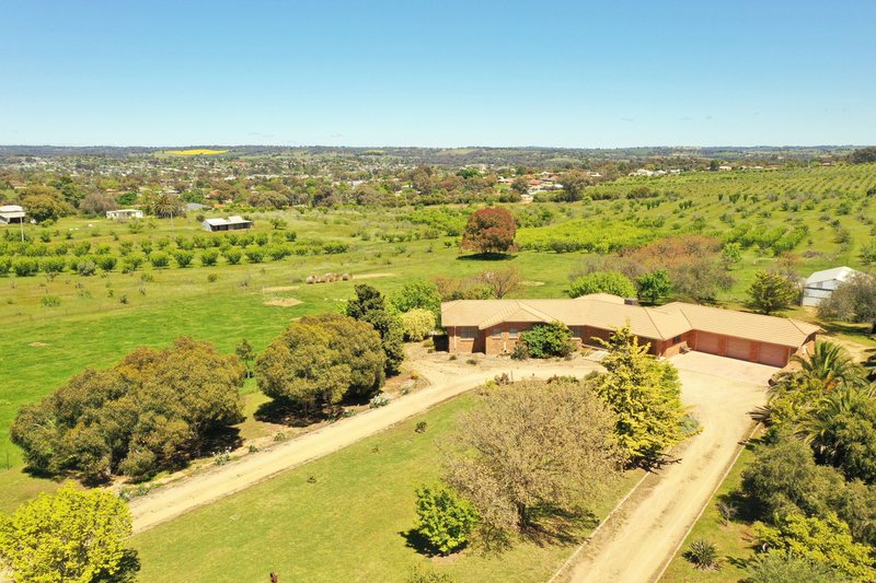 Photo - 109 Hills Street, Young NSW 2594 - Image 1