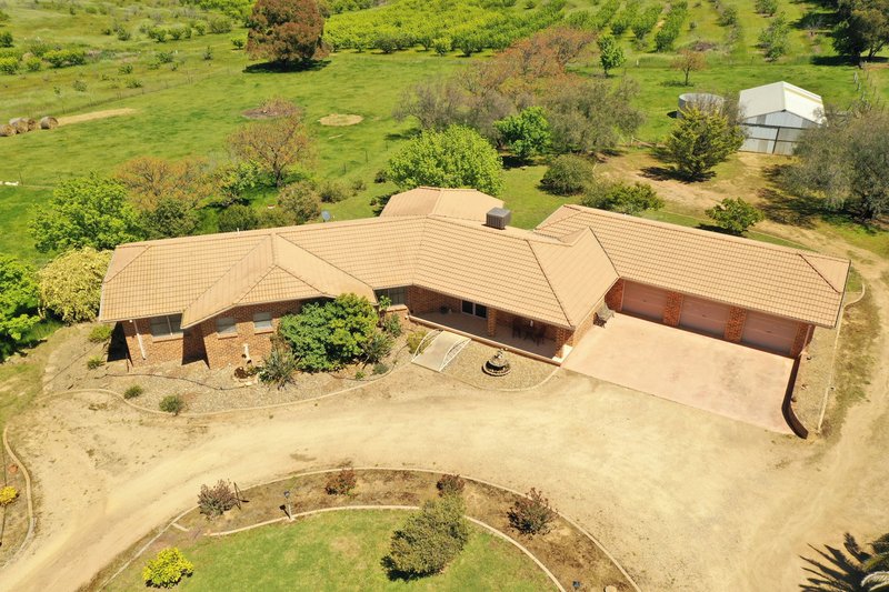 Photo - 109 Hills Street, Young NSW 2594 - Image 2