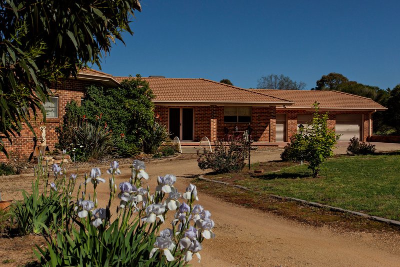 Photo - 109 Hills Street, Young NSW 2594 - Image 4